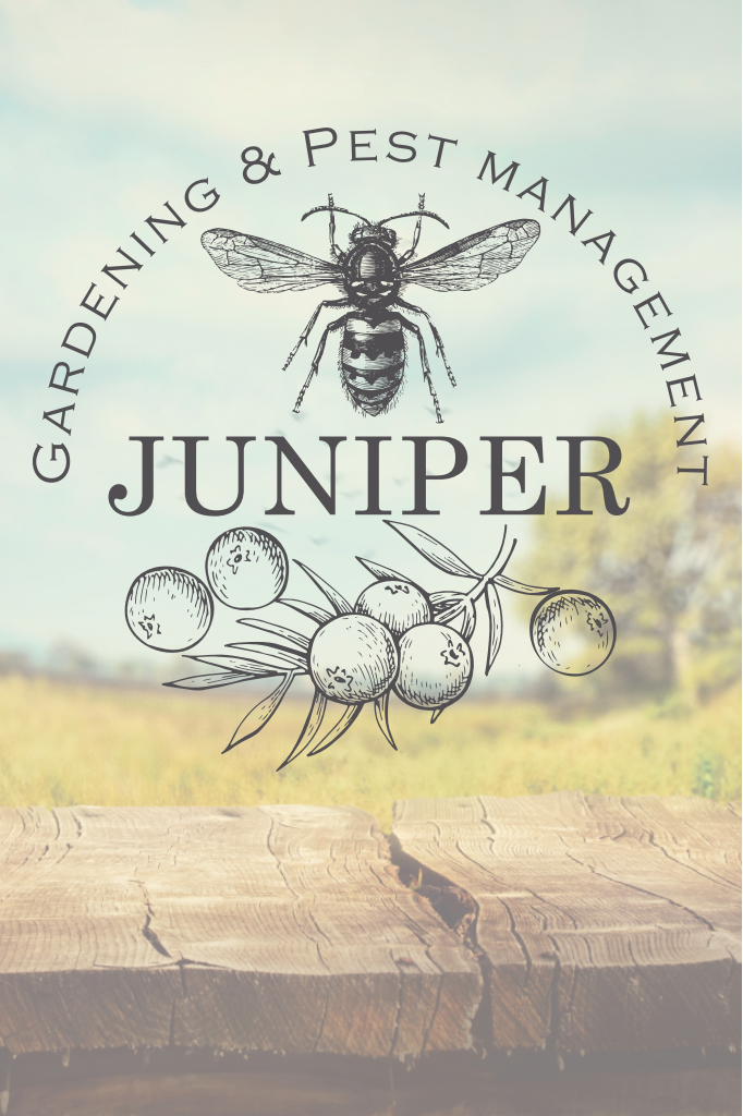 Juniper Landscapes, Gardening & Pest Control 